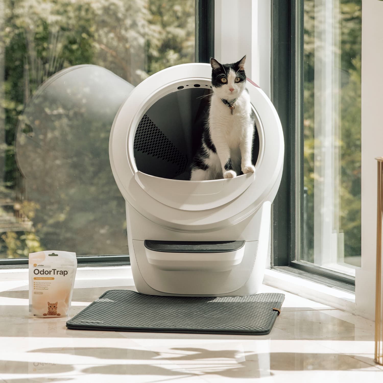 Robot clearance litter boxes