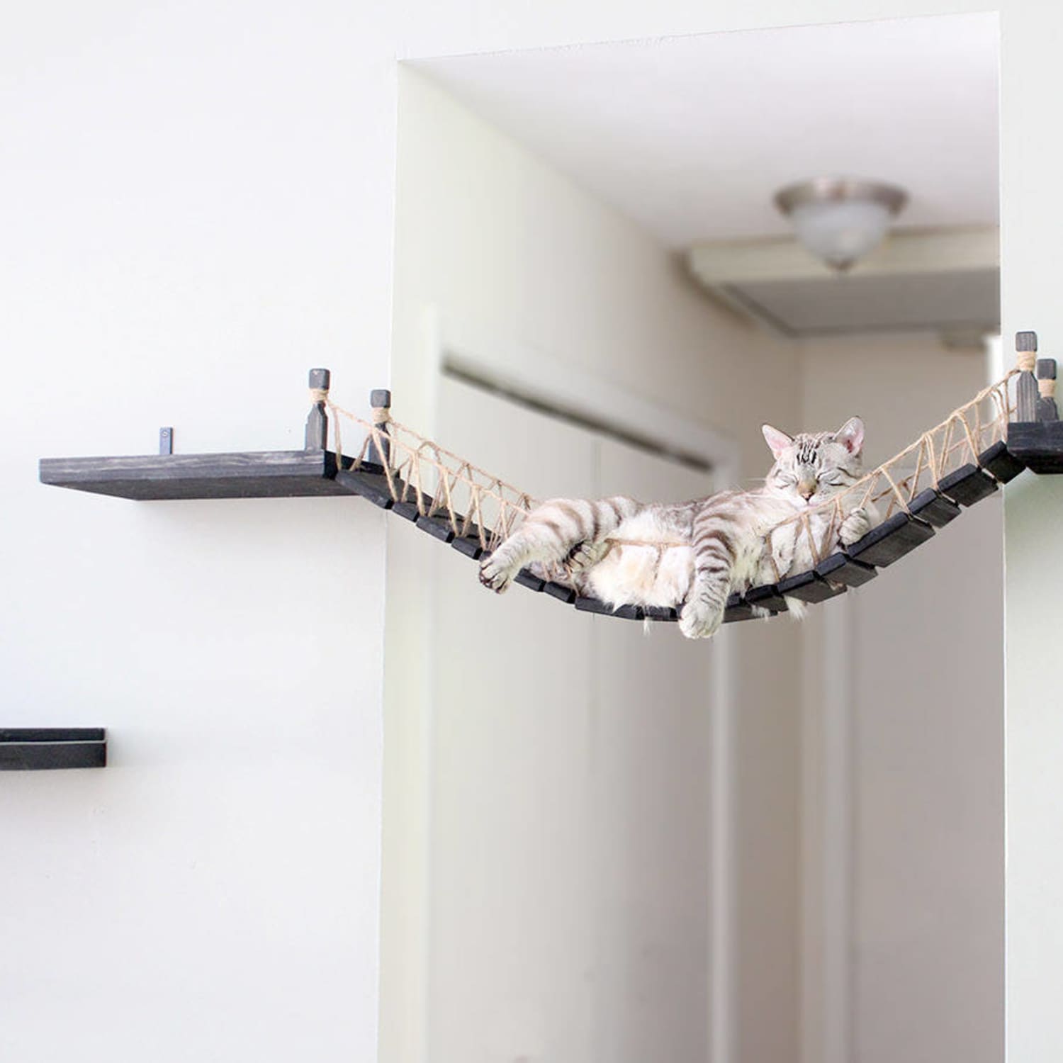 Etsy cat bridge outlet