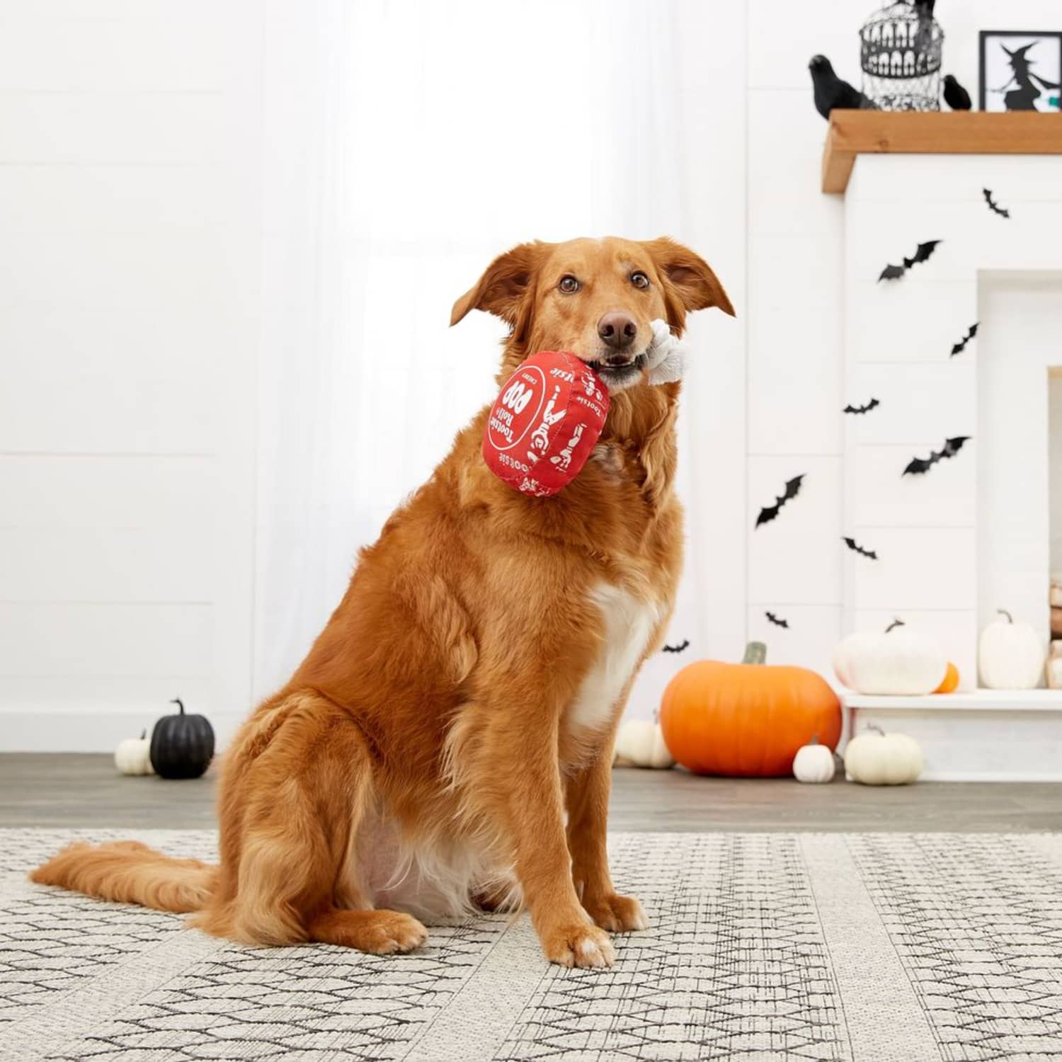 Tootsie roll dog toy top