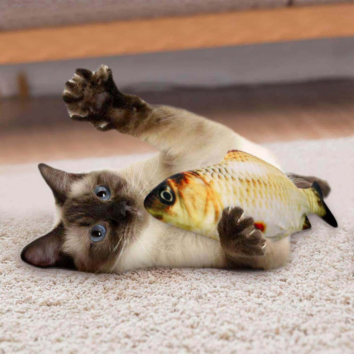 Cats fish top