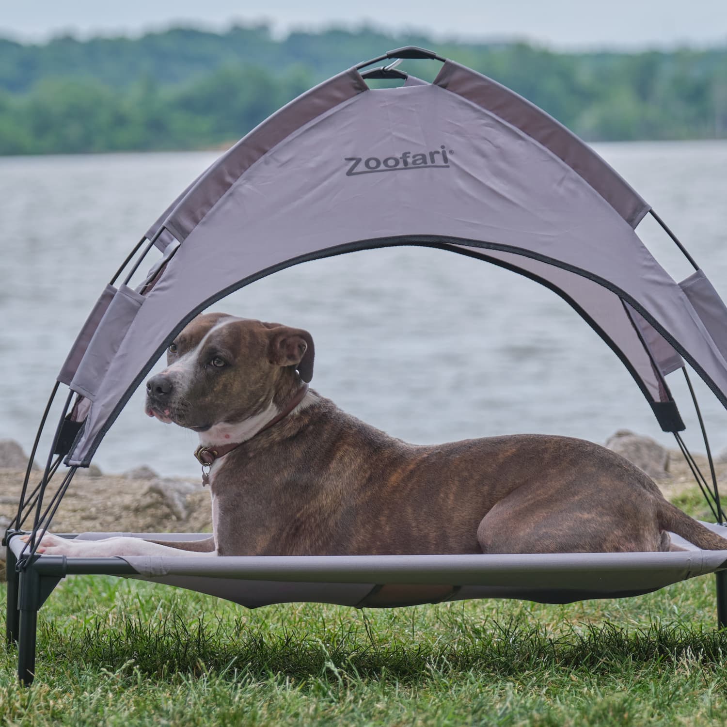 Lidl outdoor shop dog bed