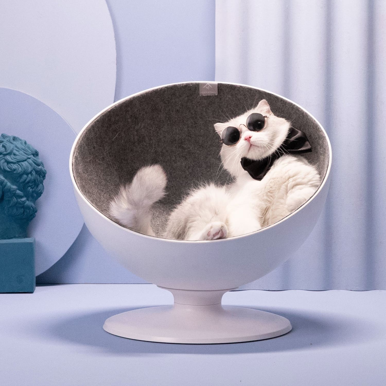 Boss shop cat bed