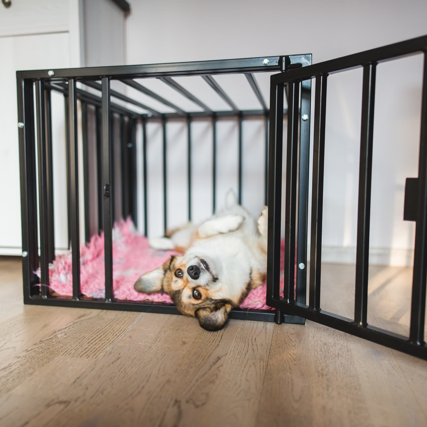 25 TikTok Hack Lets You Hide A Dog Crate In Plain Sight