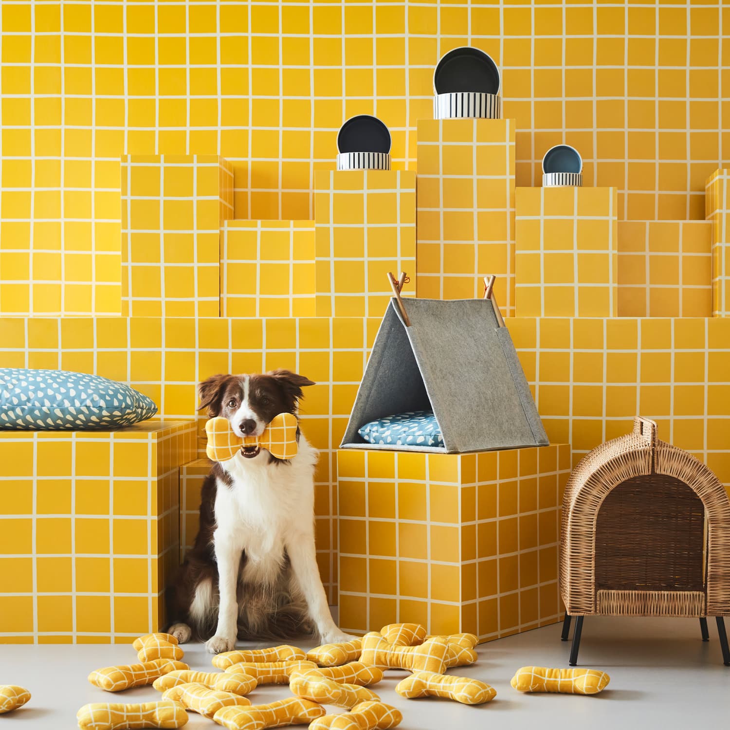 Ikea cat tent shop
