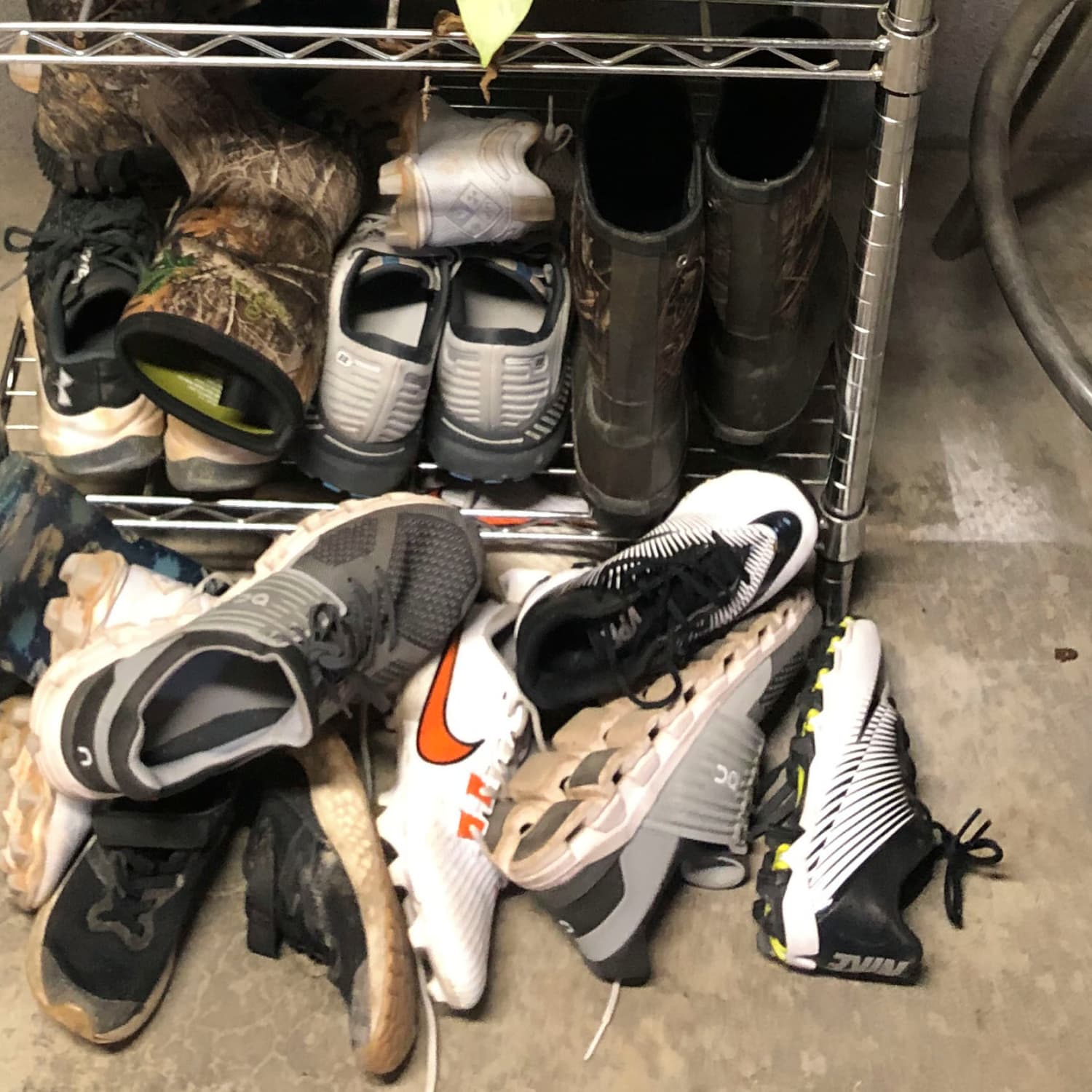 Best way 2025 to organize sneakers