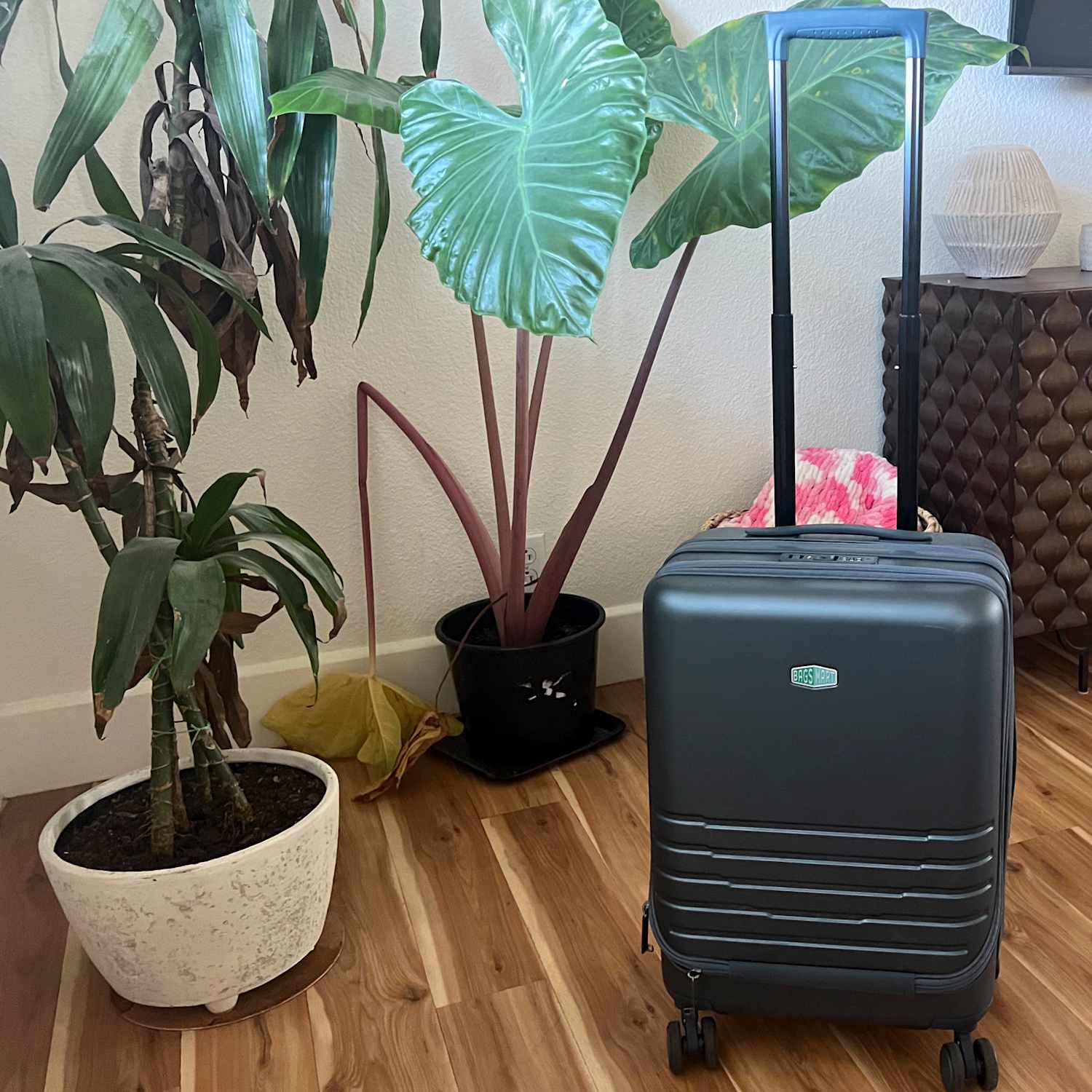 Bagsmart Getaway Carry-on Front-Opening Review | Apartment Therapy