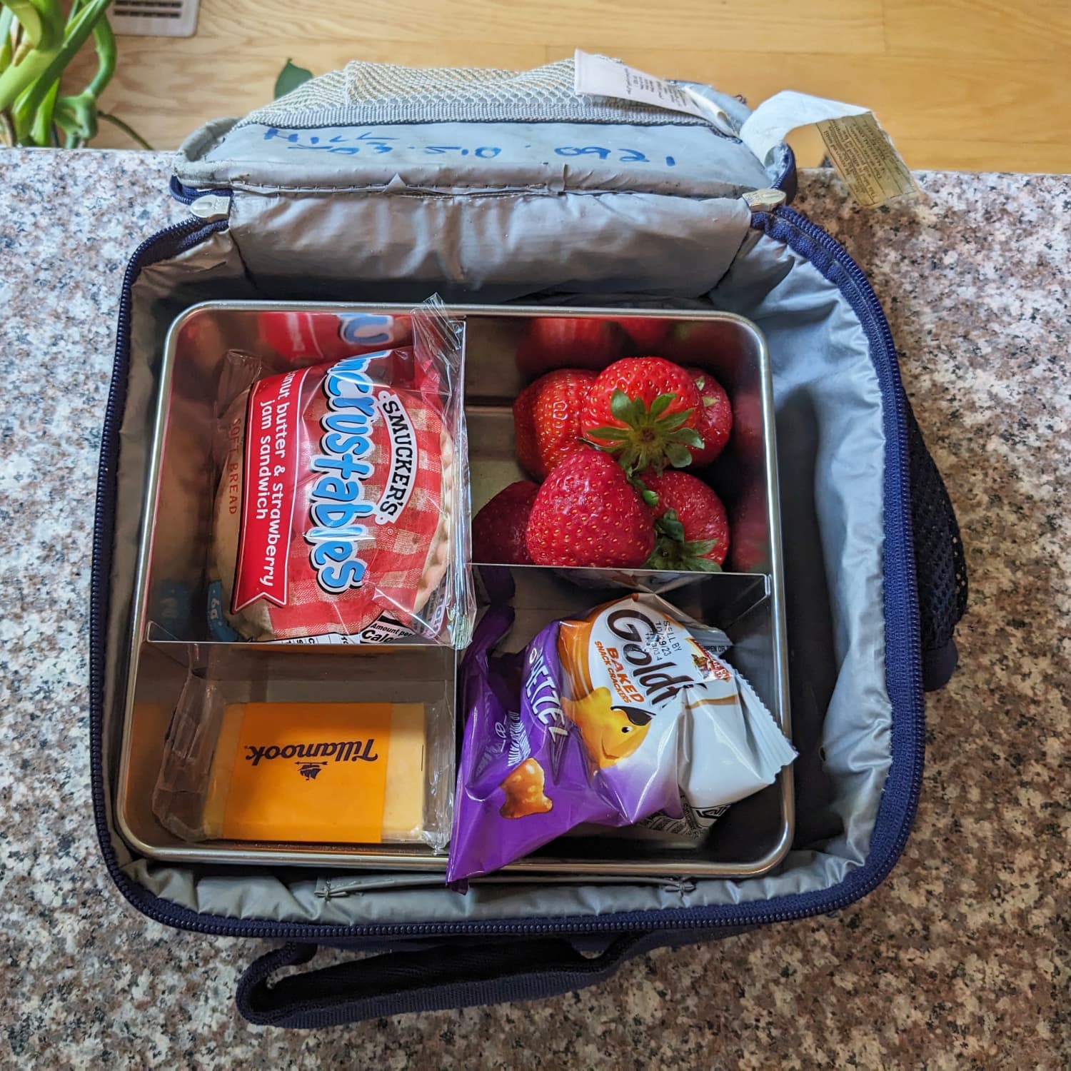 Pottery Barn Kids Spencer Stainless Bento Box Review 2023 Cubby