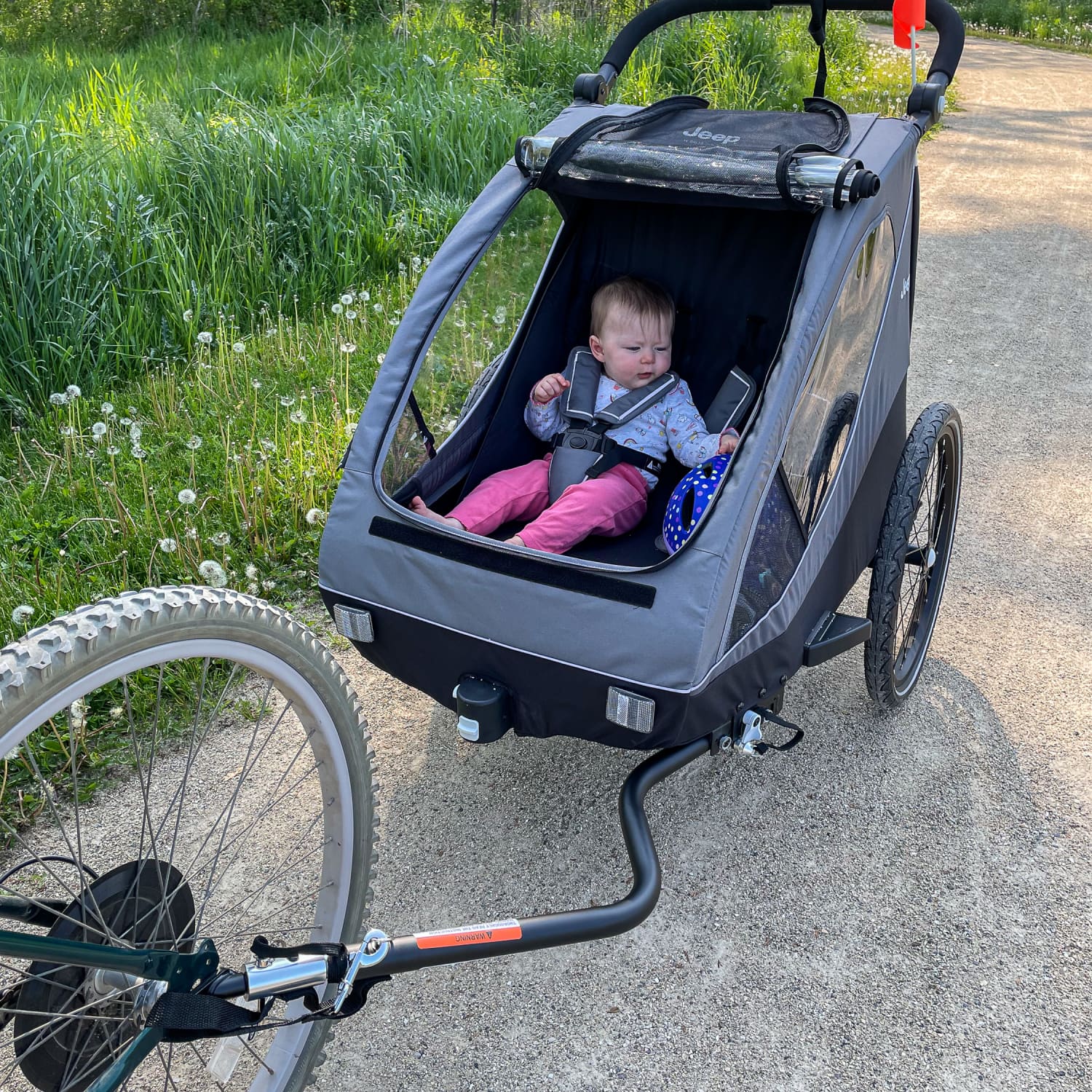 Walmart kids bike trailer discount