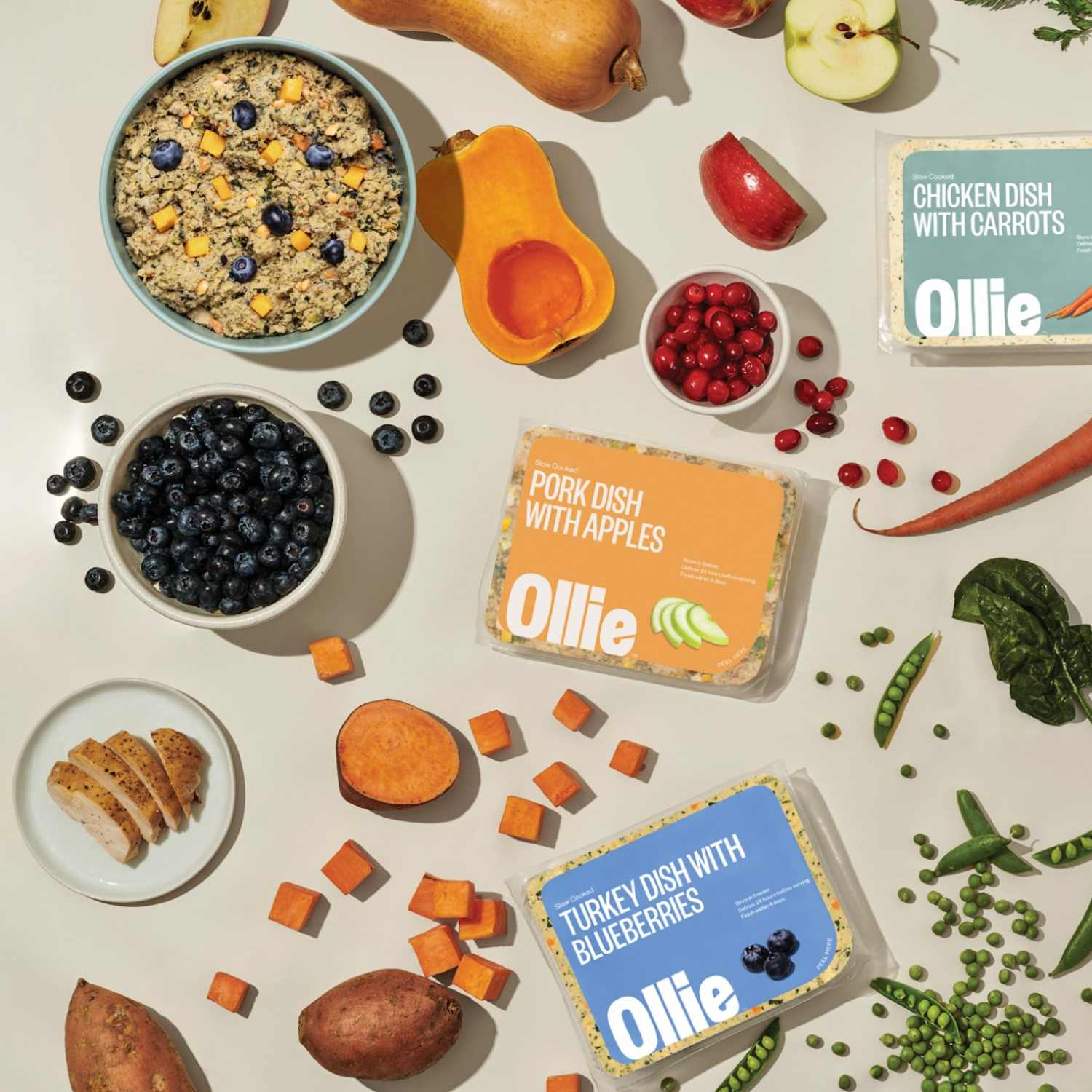 Ollie Best Mail Order Subscription Service for Dogs with Sensitive Stomachs