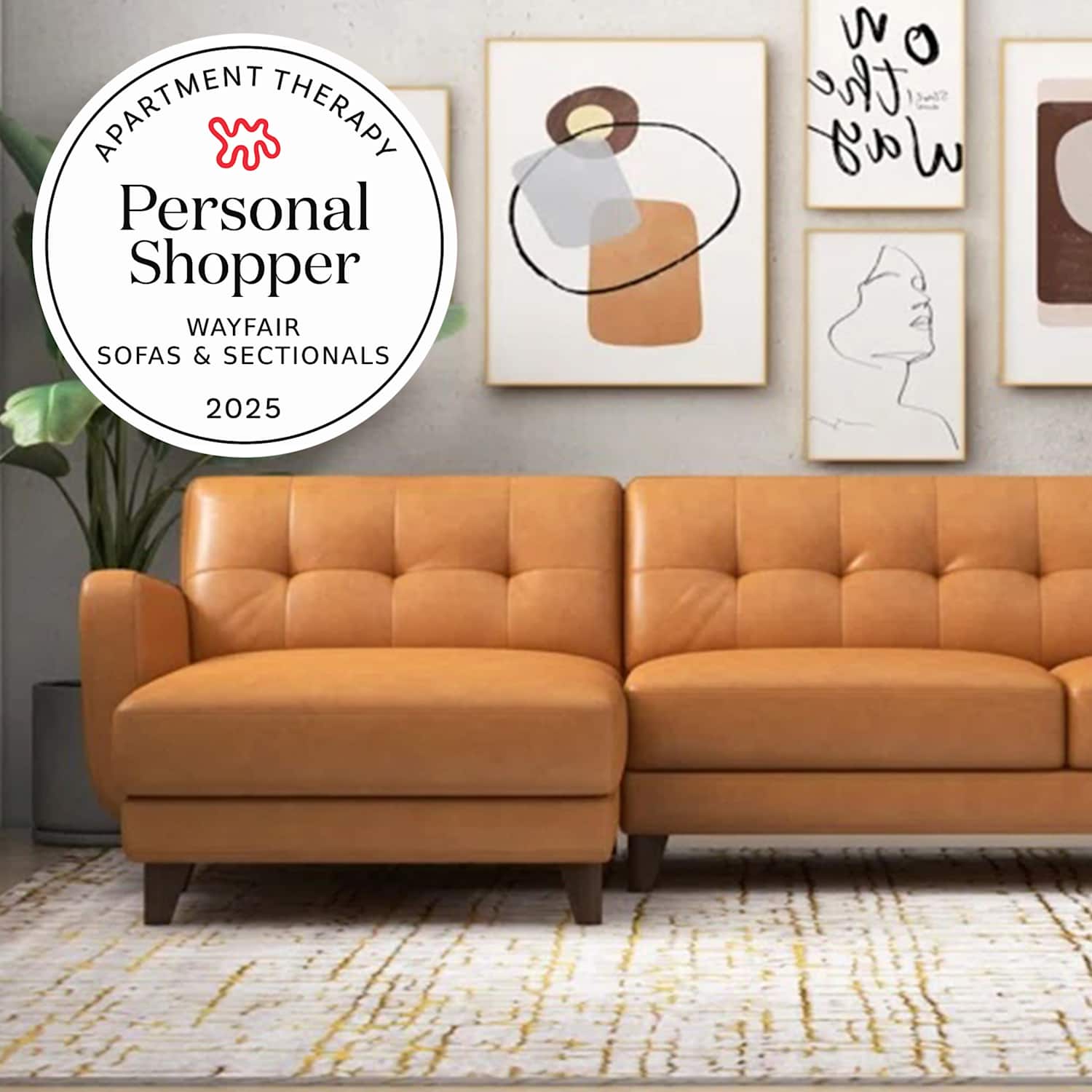 Buying a couch on wayfair discount
