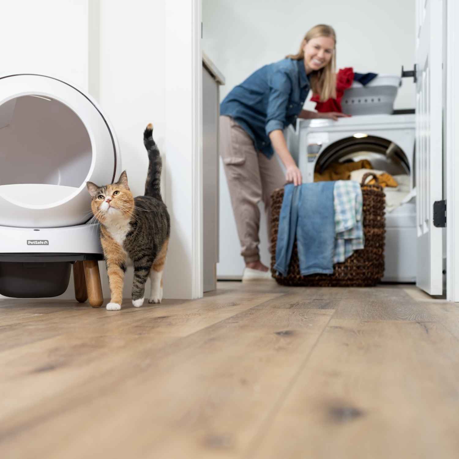 I Tested PetSafe s Self Cleaning Litter Box Review Photos Apartment Therapy