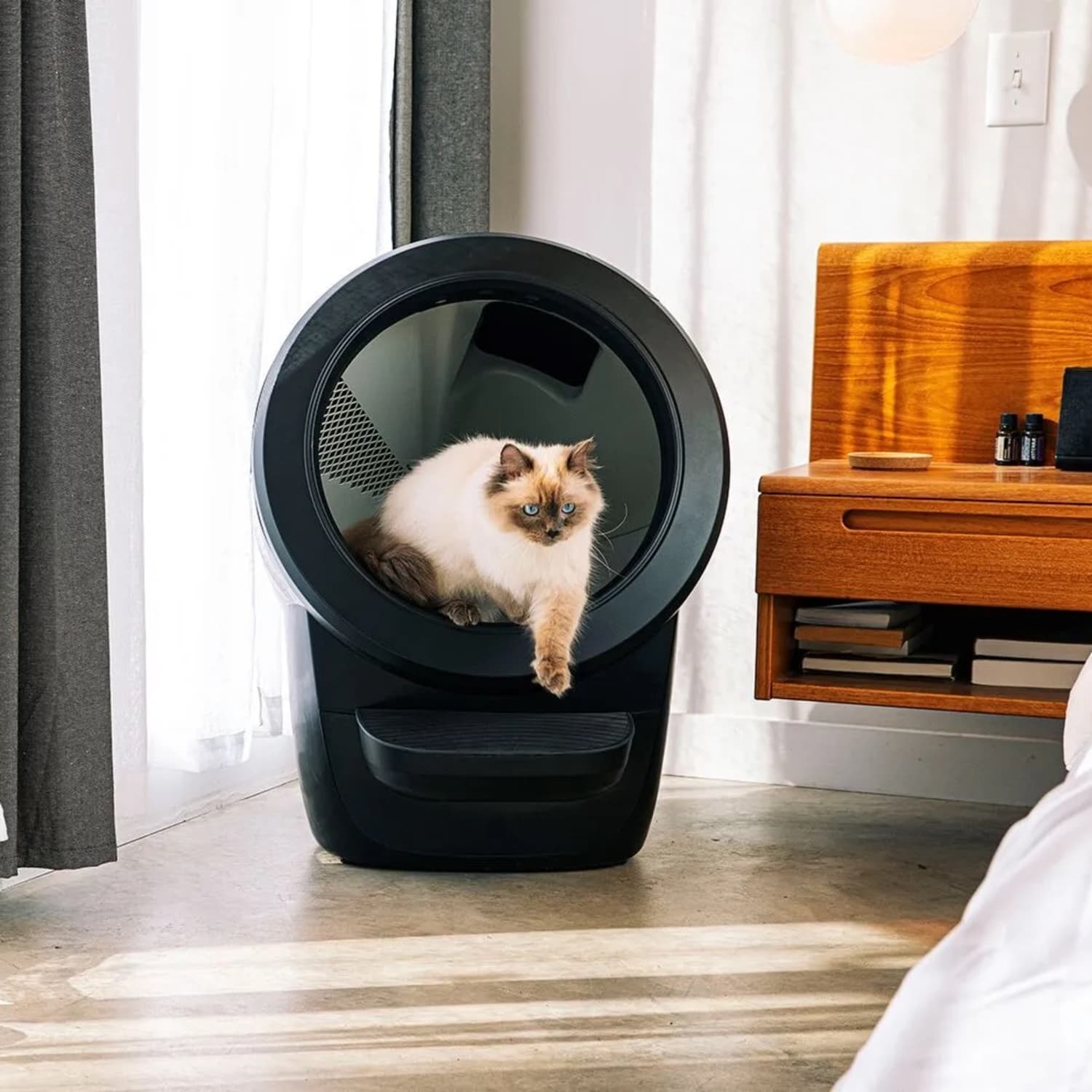 Meow litter robot hot sale