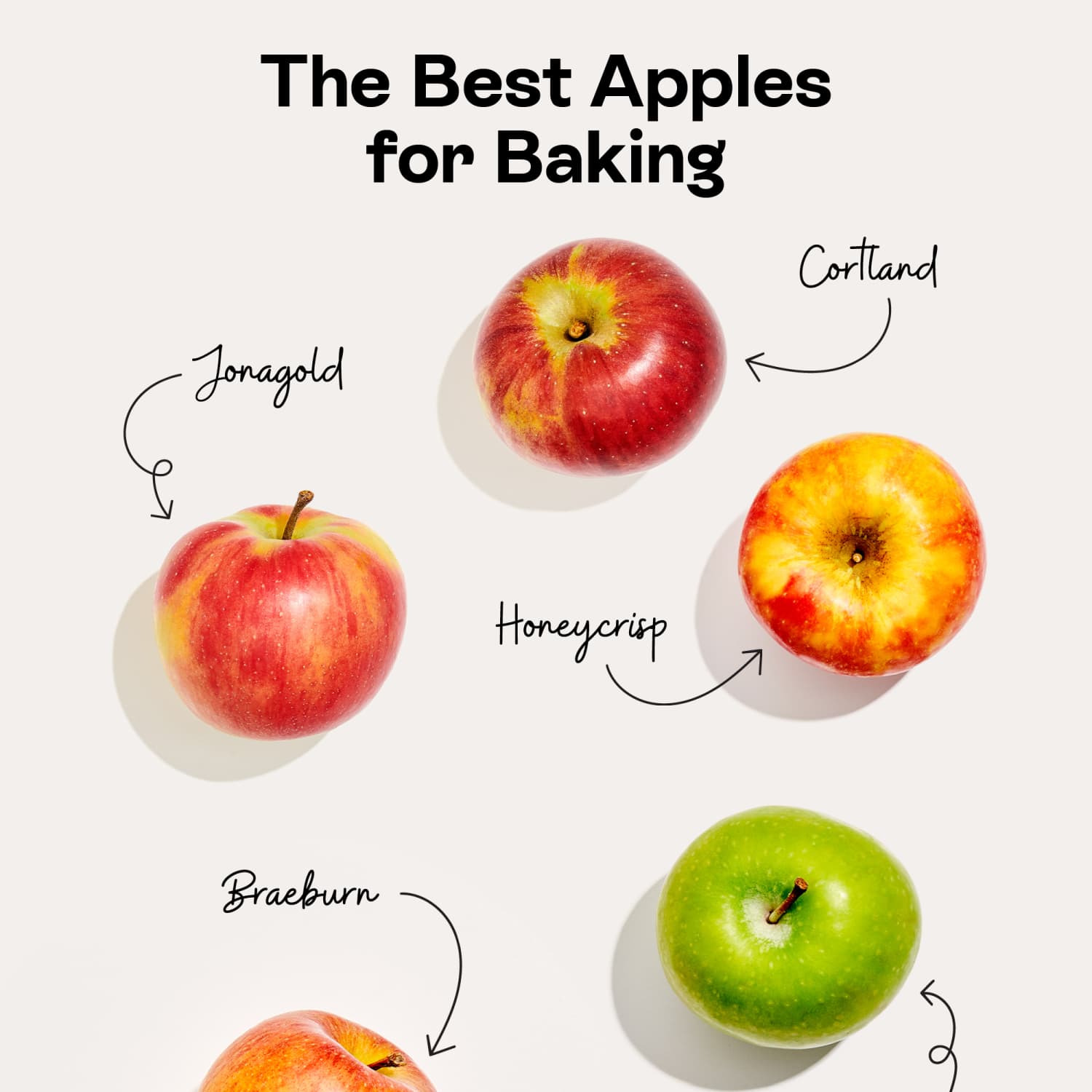 Common Apple Varieties For Snacking, Baking, And More