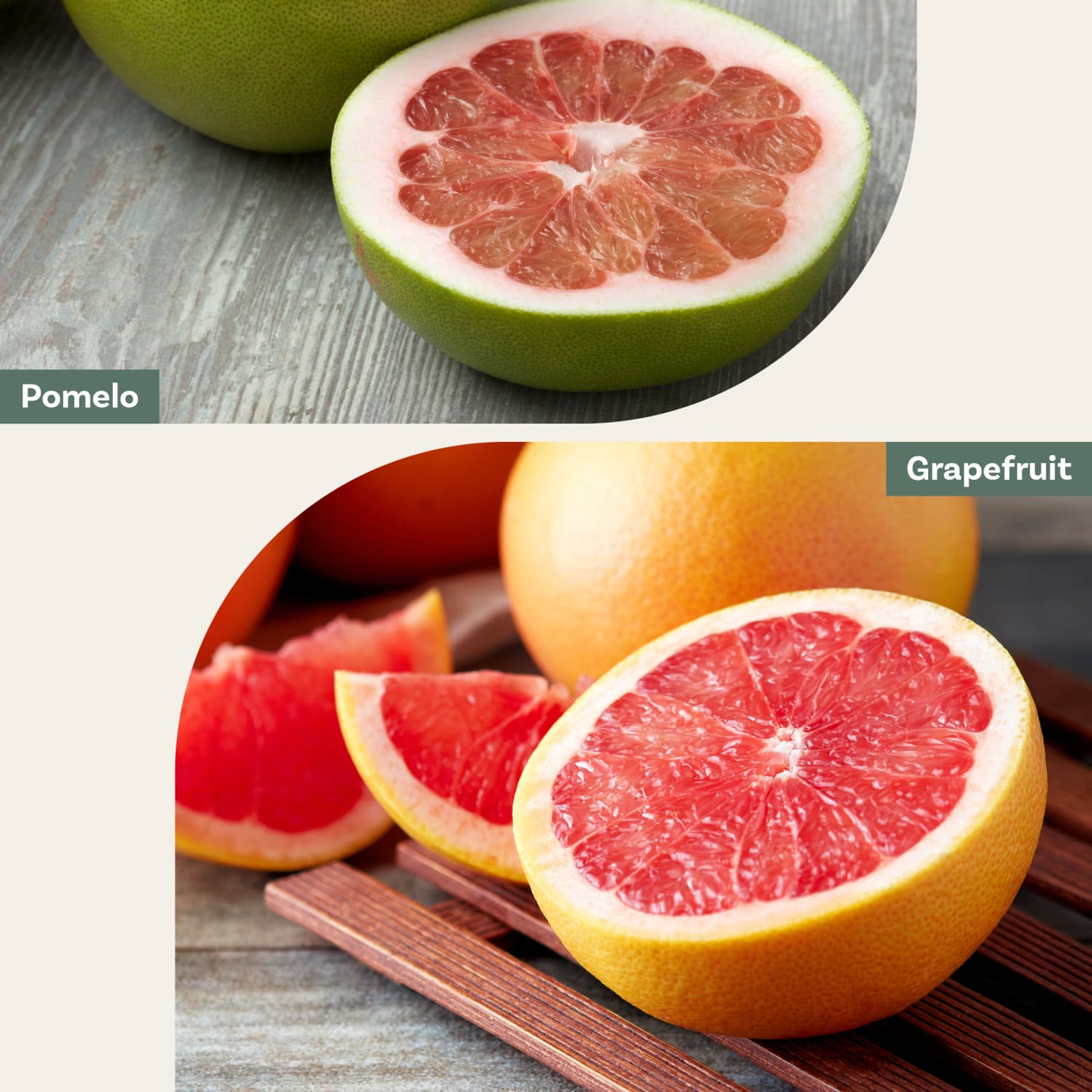 Pomelo vs. Grapefruit: What\'s the Difference Between the Two? | The Kitchn