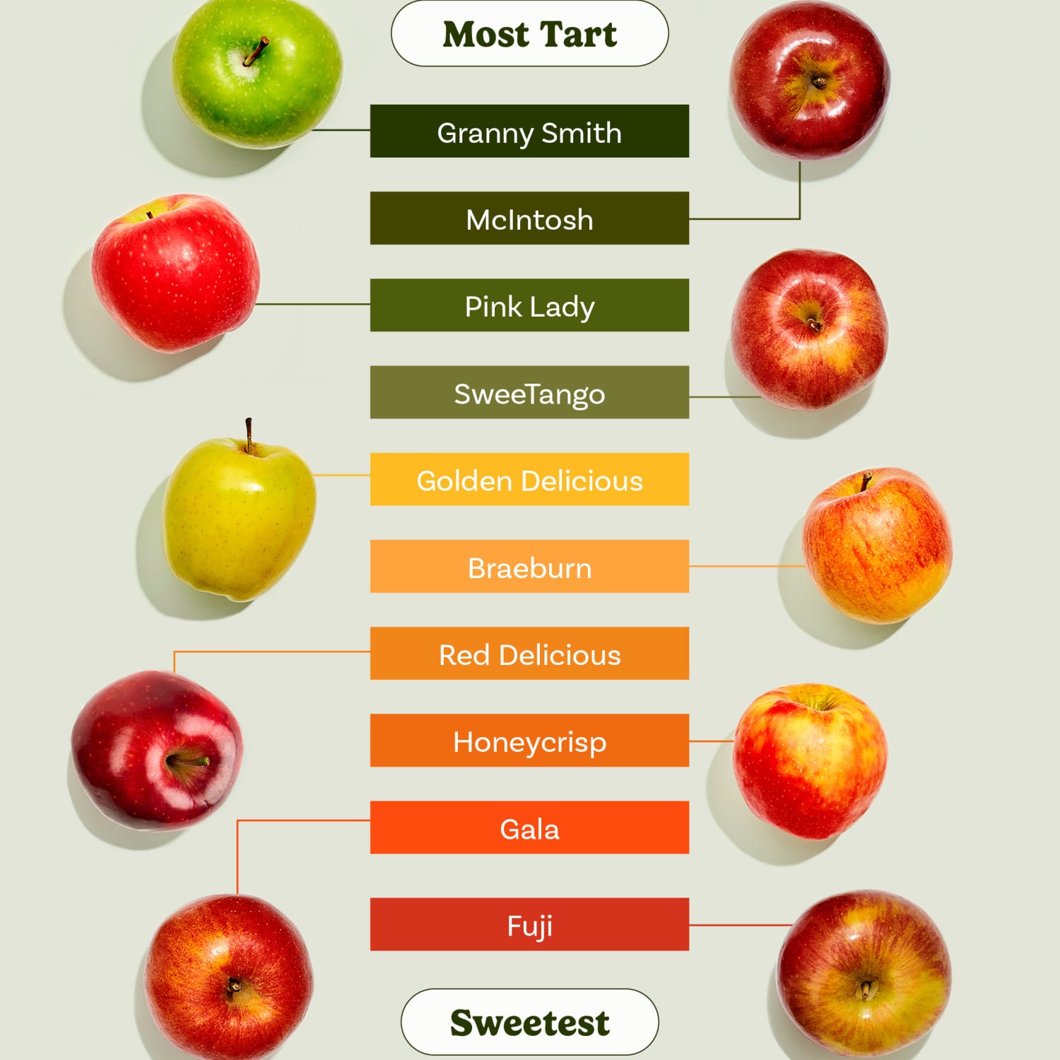 Seasonal Apple Guide, Learn About Apple Varieties