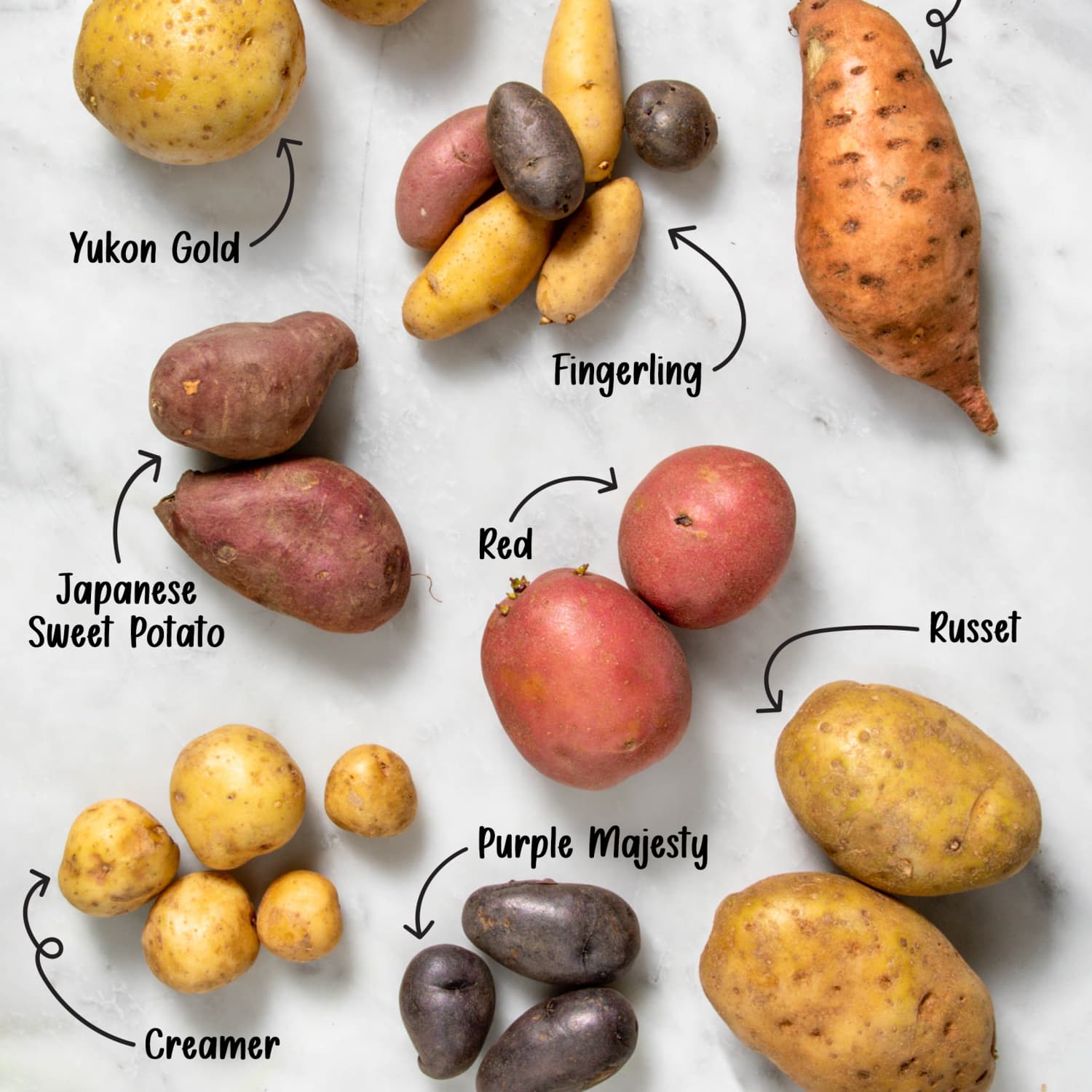 16 Types of Potatoes and Best Ways to Cook Them