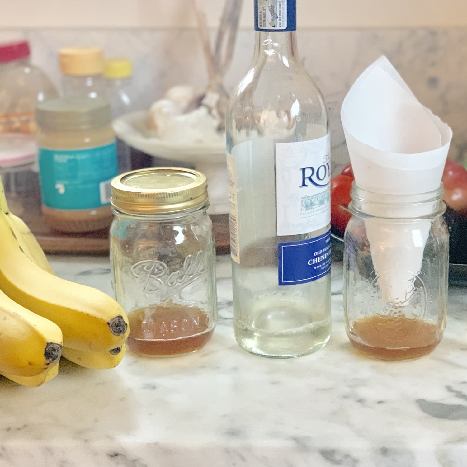 Homemade Fruit Fly Trap {Gnat Trap} • The Fresh Cooky