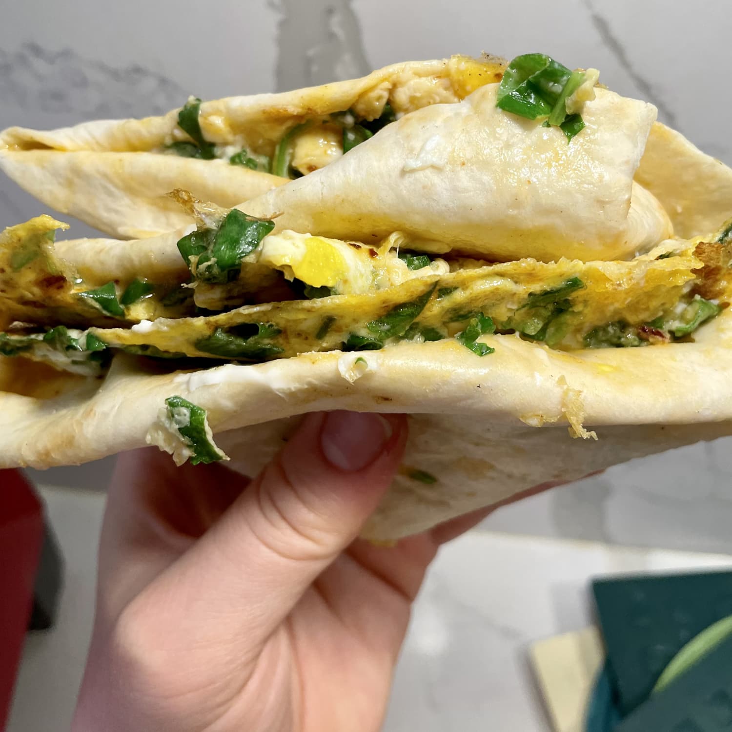 Egg Wraps- Just 2 Ingredients! - The Big Man's World ®