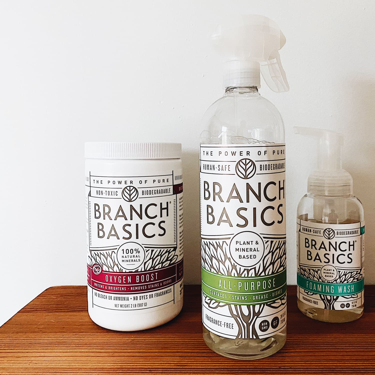 Branch Basics Cleaning Review | The Kitchn
