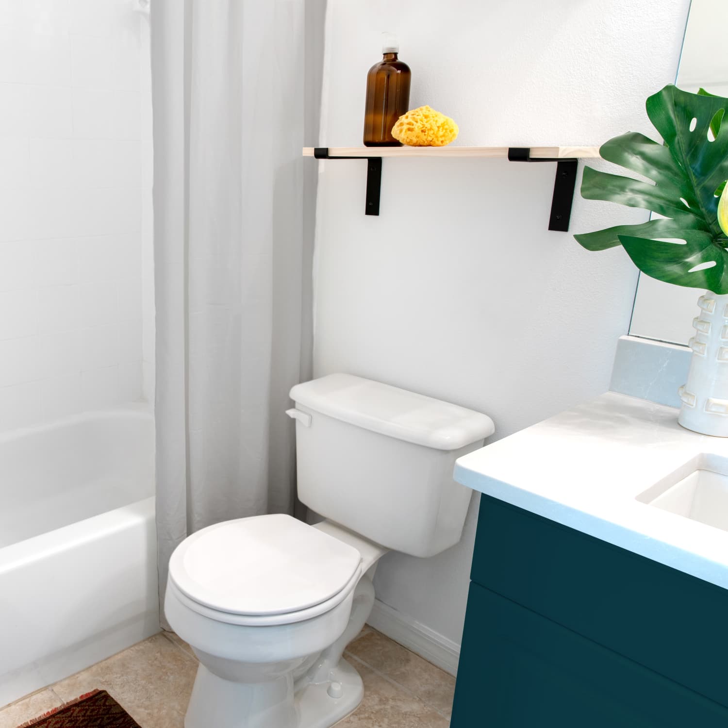 Custom Toilet Brushes, Design & Preview Online