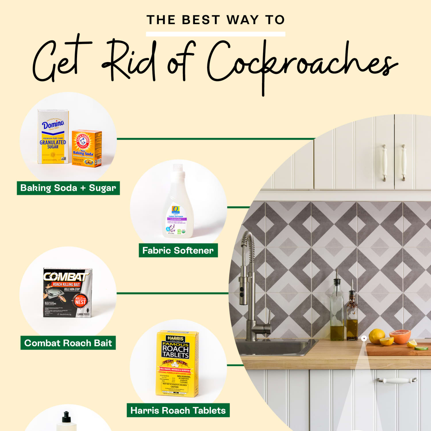 What Happens When Cockroaches Eat Baking Soda?: Pest Control Revealed