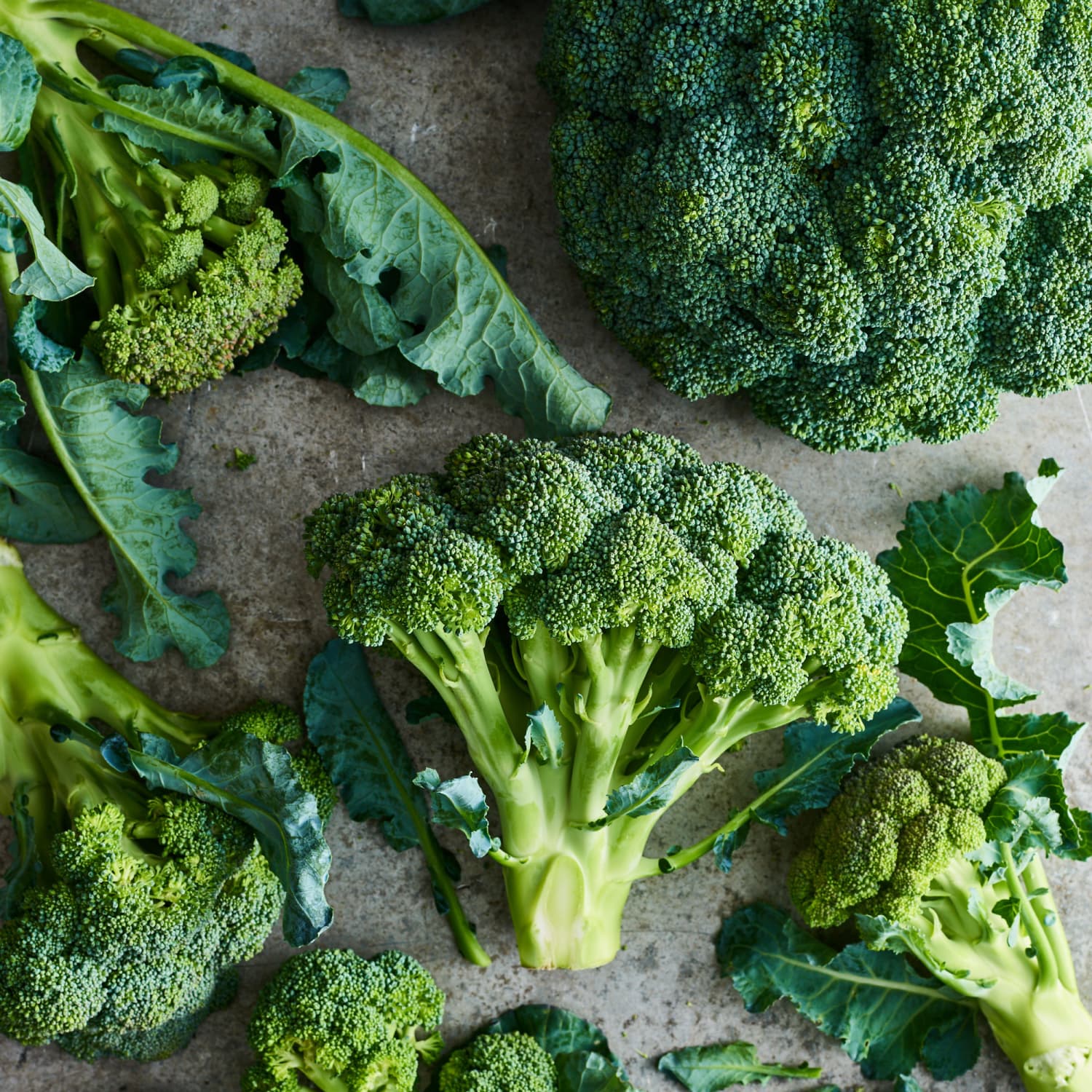 Our Best Guide To Broccoli Basics Kitchn