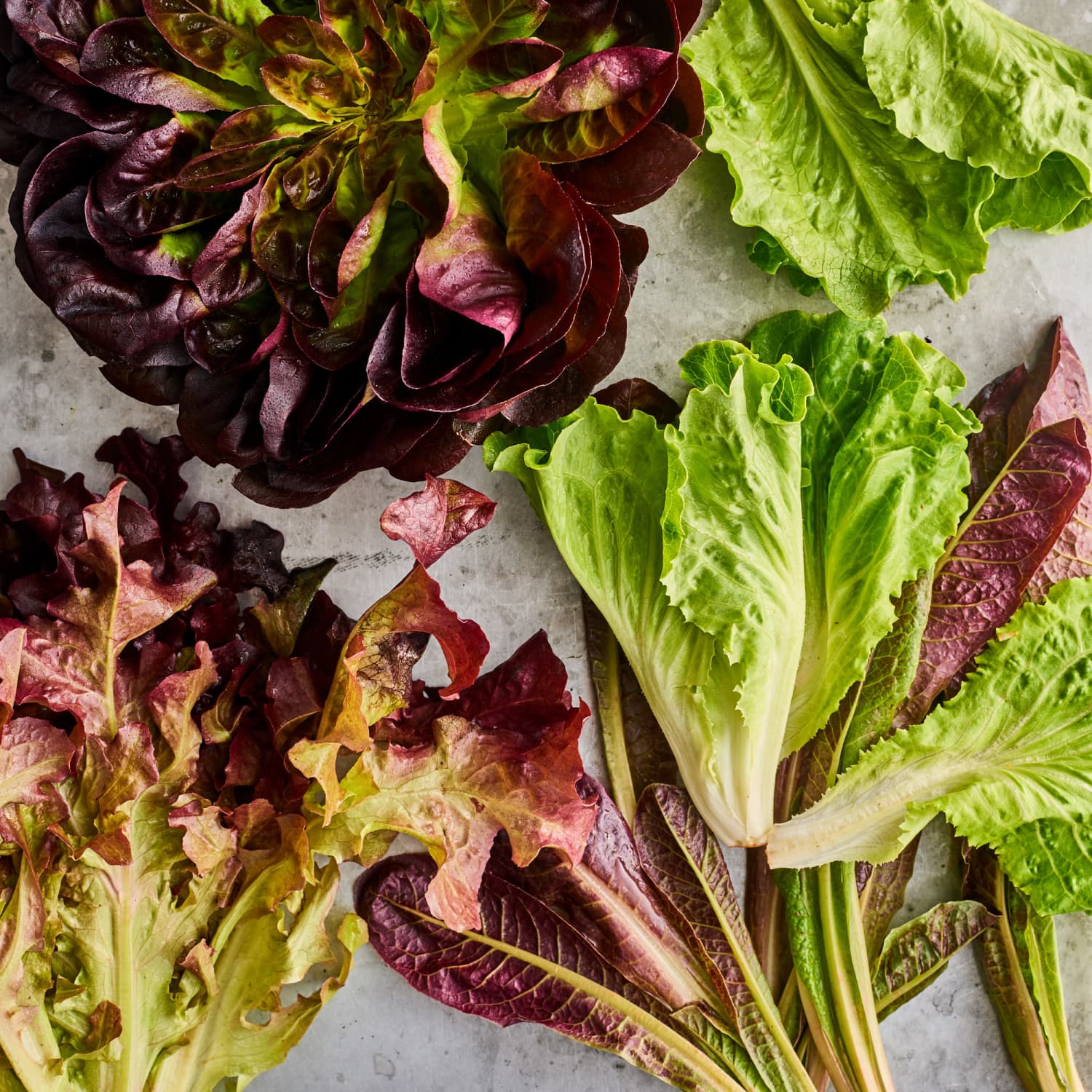 Our Best Romaine Lettuce Recipes Ideas And Tips Kitchn