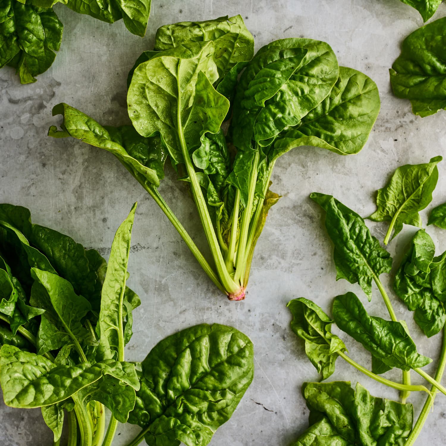 Our Best Spinach Recipes, Ideas, and Tips | Kitchn