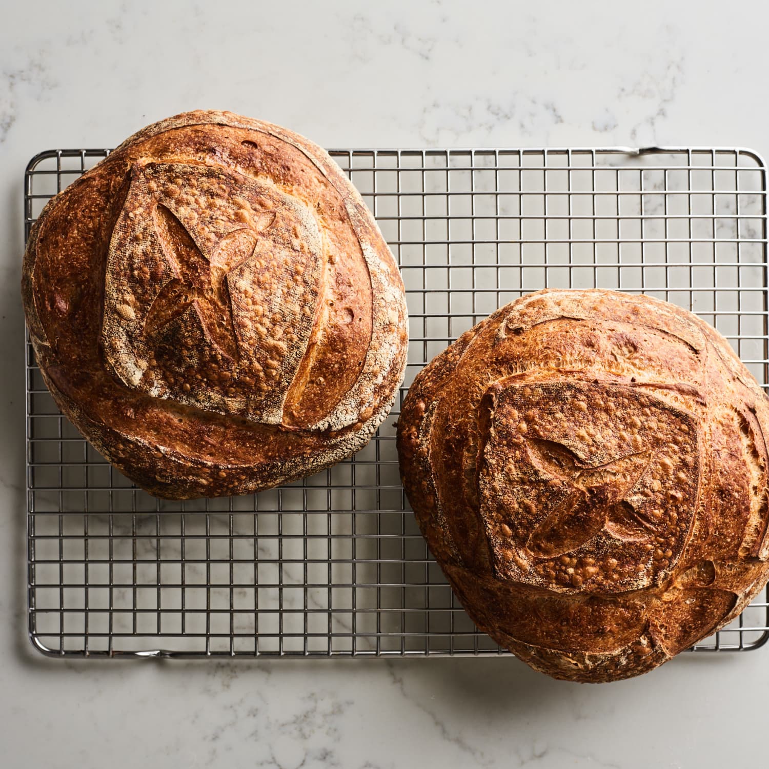 Le Creuset Enameled Cast Iron Bread Oven, Exclusive Color: Nutmeg