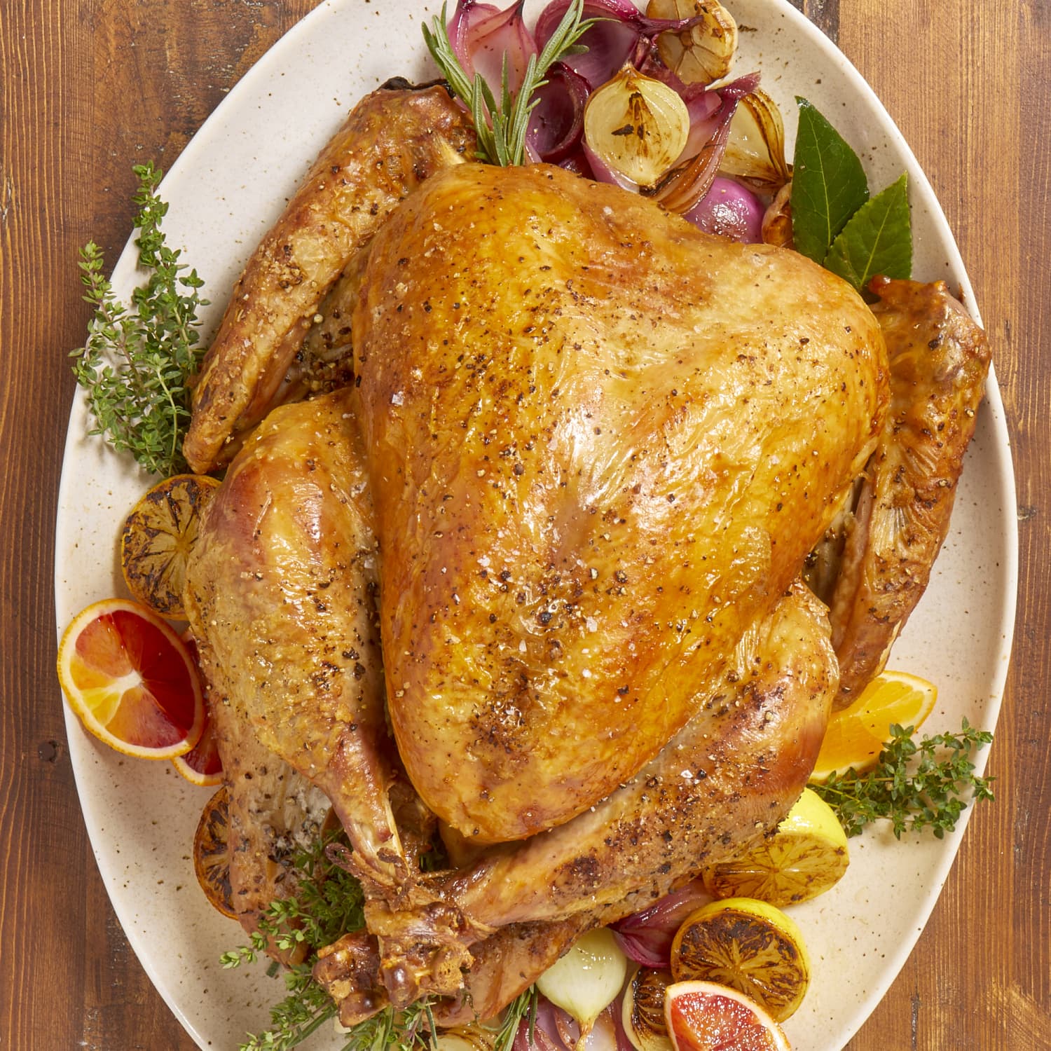 Good Eats Roast Thanksgiving Turkey Recipe