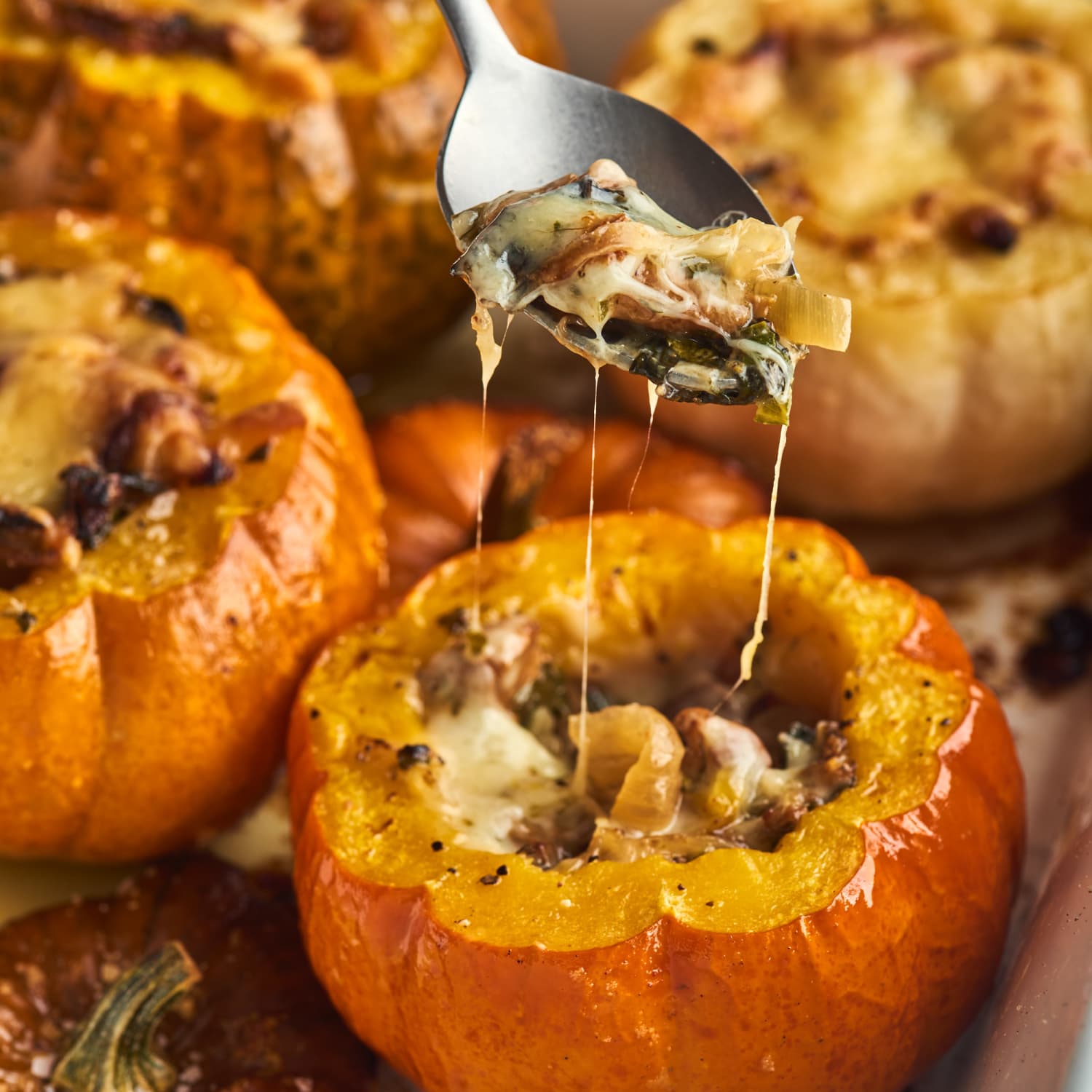 Stuffed Mini Pumpkins Recipe | Kitchn