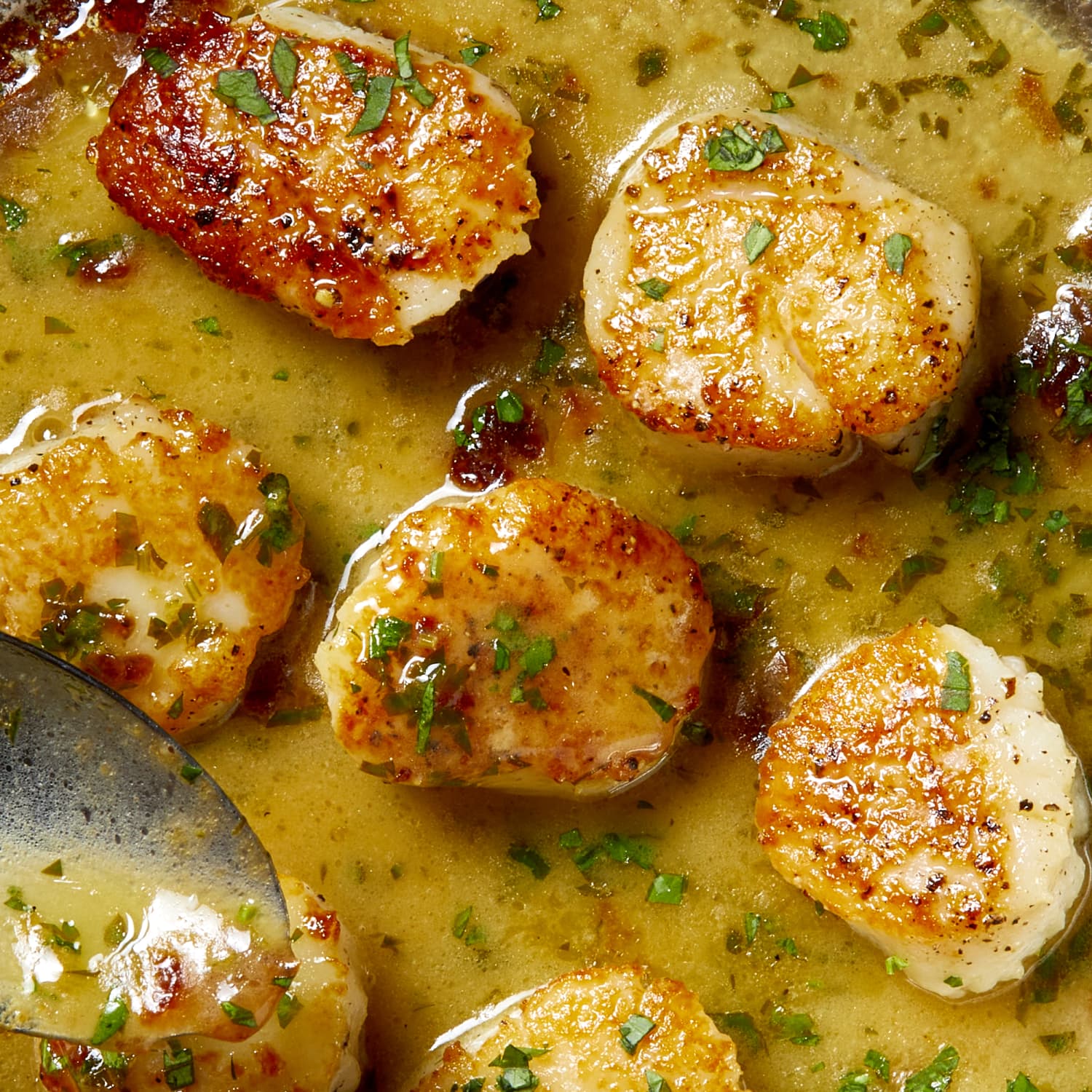 Global flavor routes for scallops