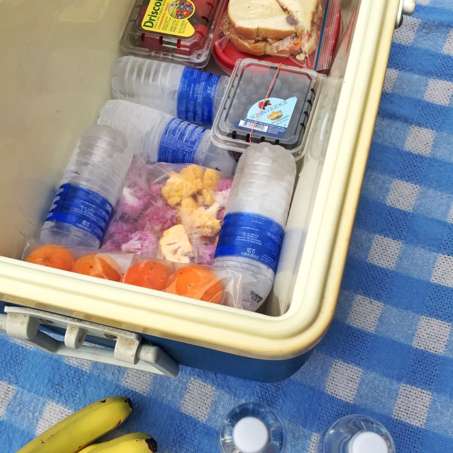 best way to keep things frozen in a cooler