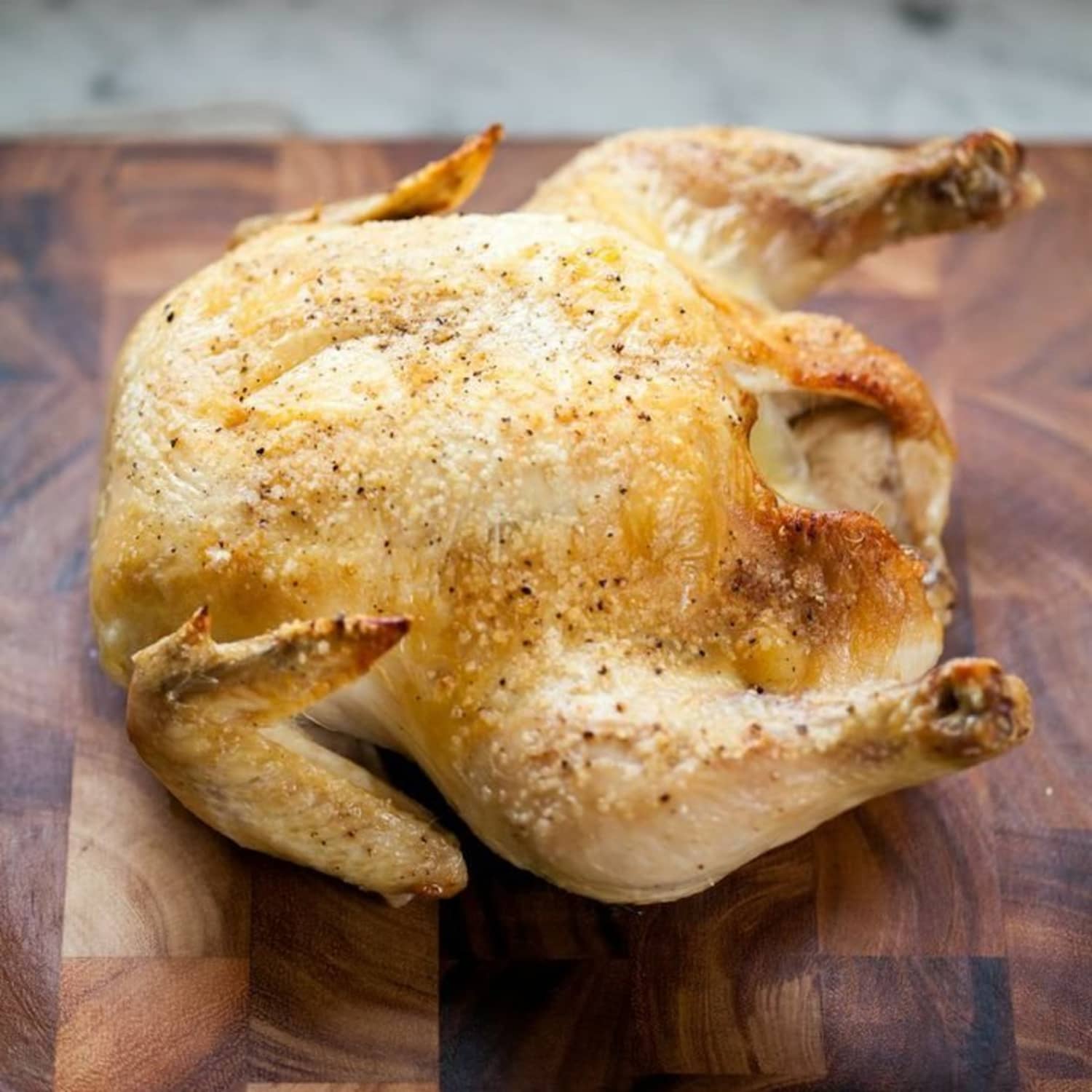 Whole Chicken Broiler