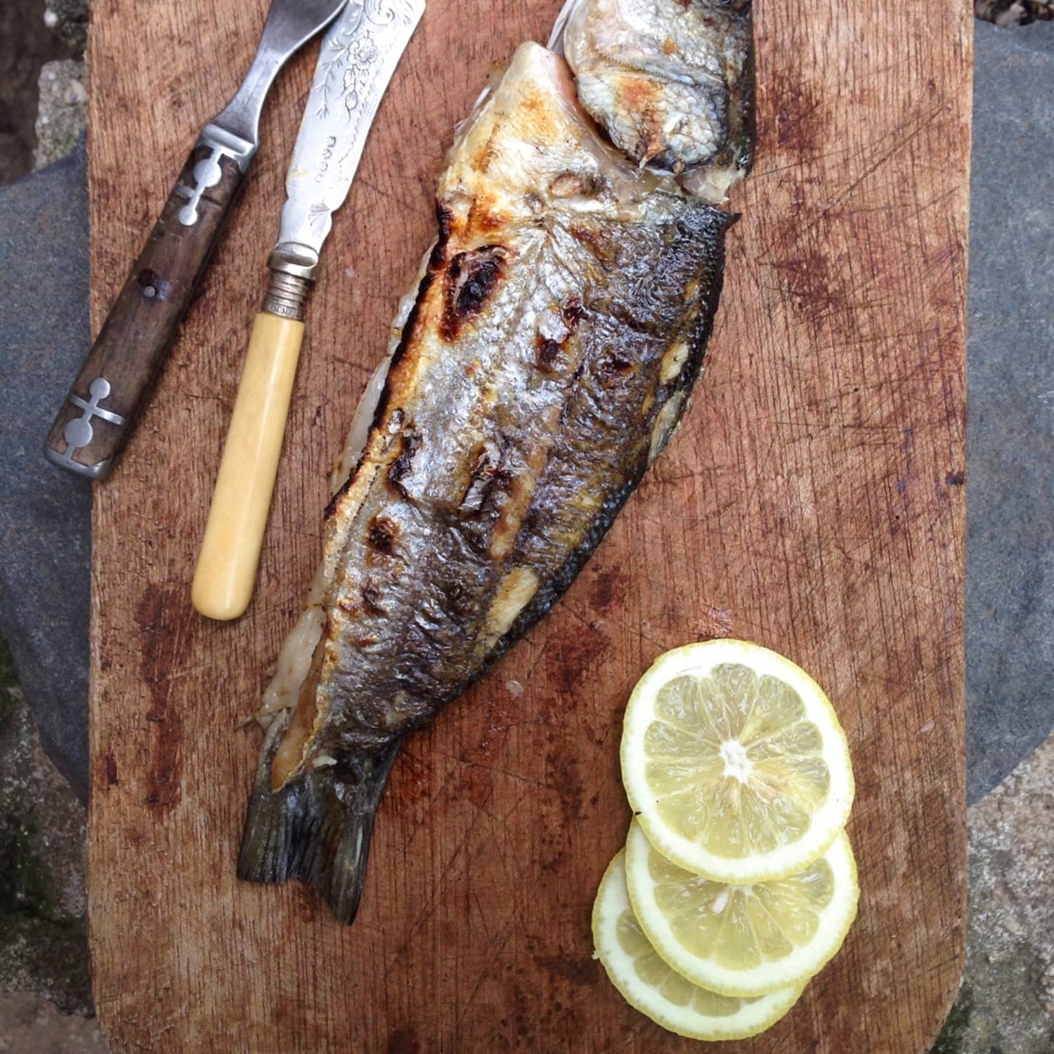 Recipe Whole Grilled Branzino Kitchn Fruit flies have notoriously fast life cycles; whole grilled branzino