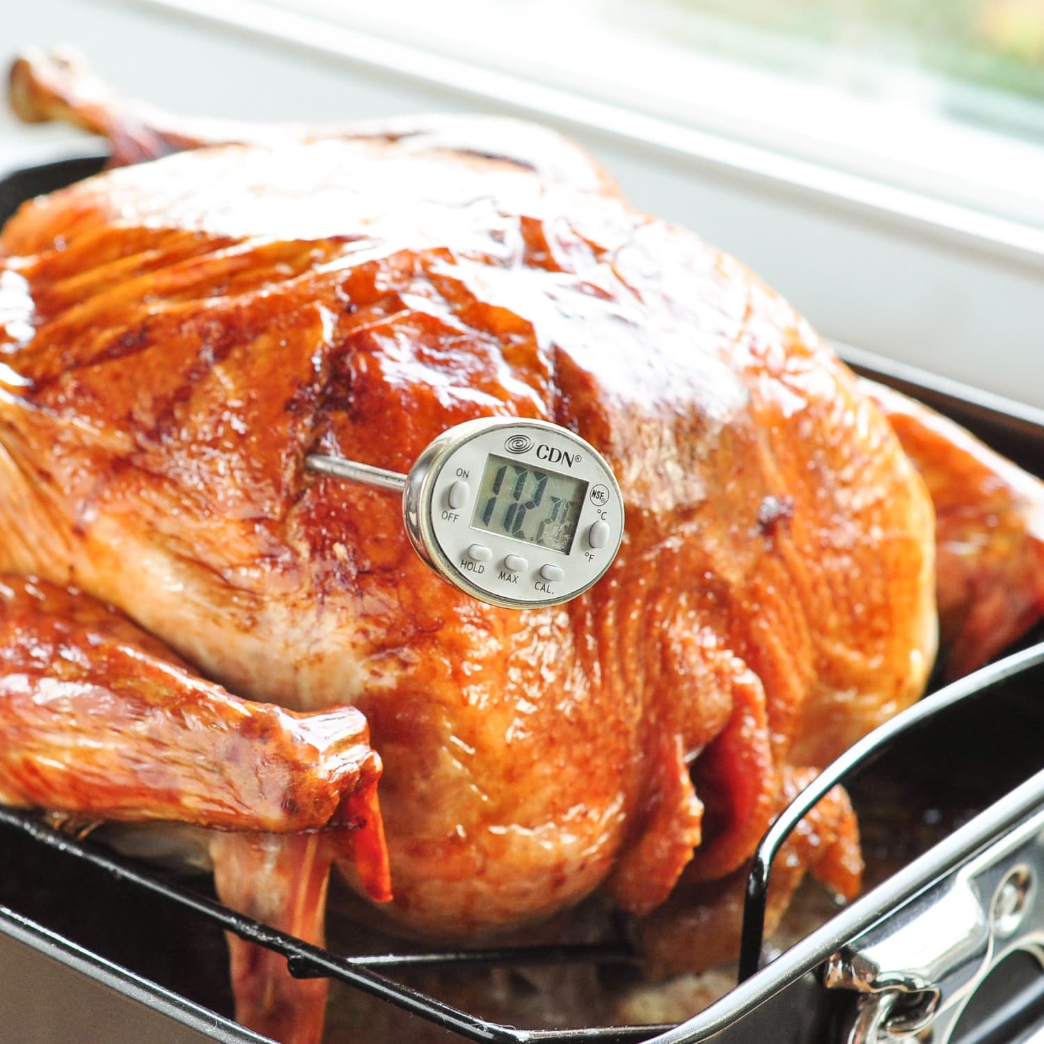How to take a turkey's temperature