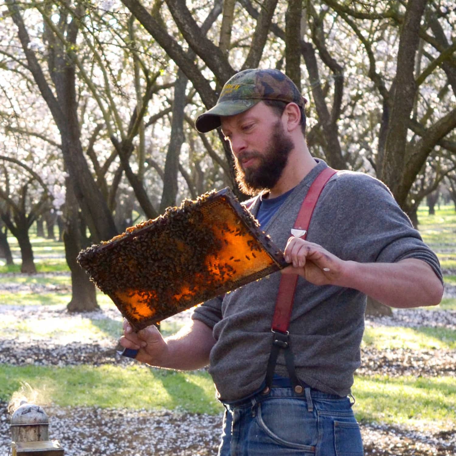 How Henry Storch Became a Professional Migratory Beekeeper | The Kitchn