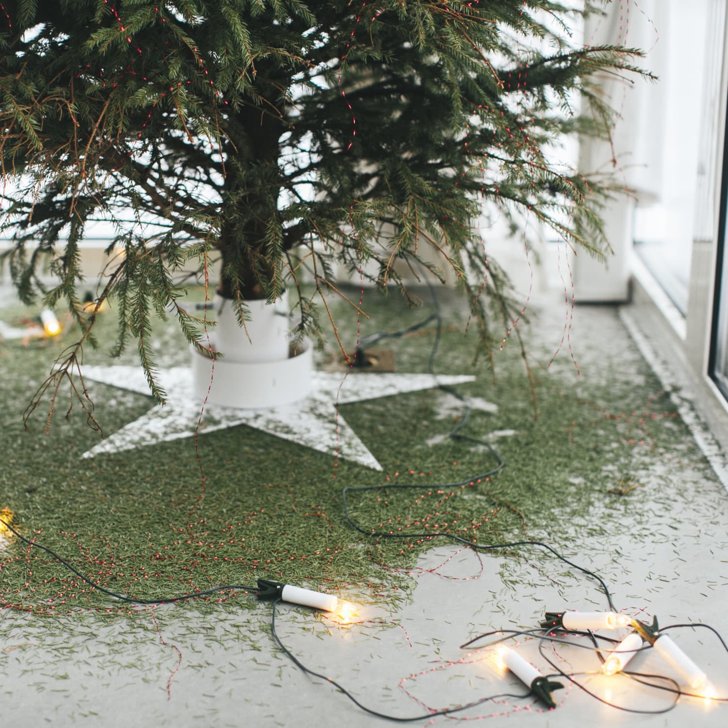 The Best Ways To Clean Up Christmas Tree Needles | Kitchn