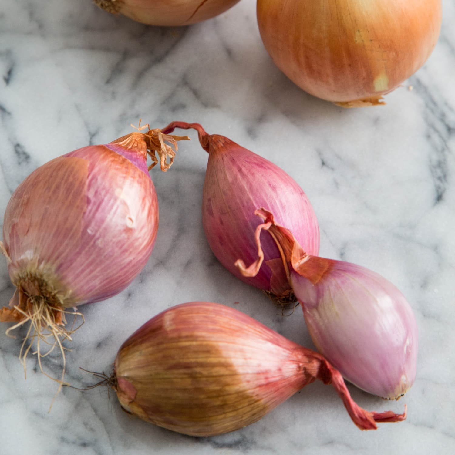 Shallots Are Onions' Cute Little Cousins