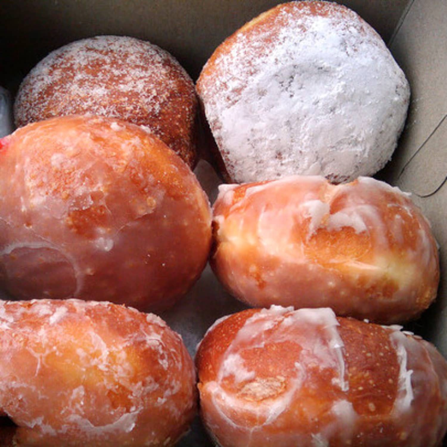 Like Jelly Doughnuts but Better! Paczki | Kitchn