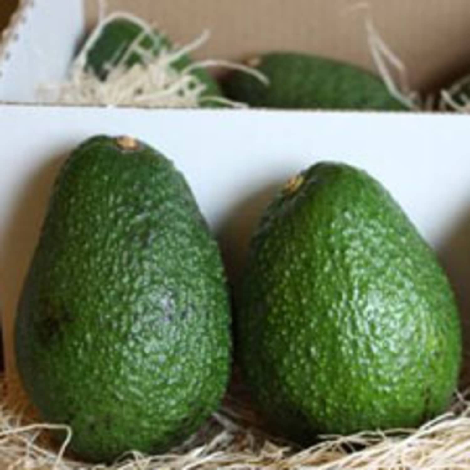 Best Place To Store Avocados In The Refrigerator Kitchn