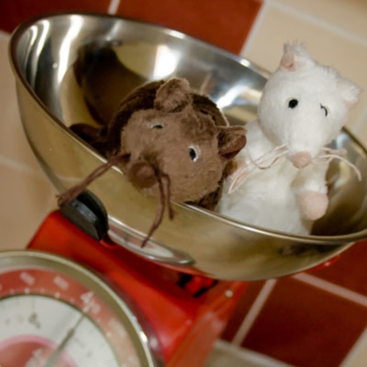 How to Help Get Rid of Mice in the Kitchen