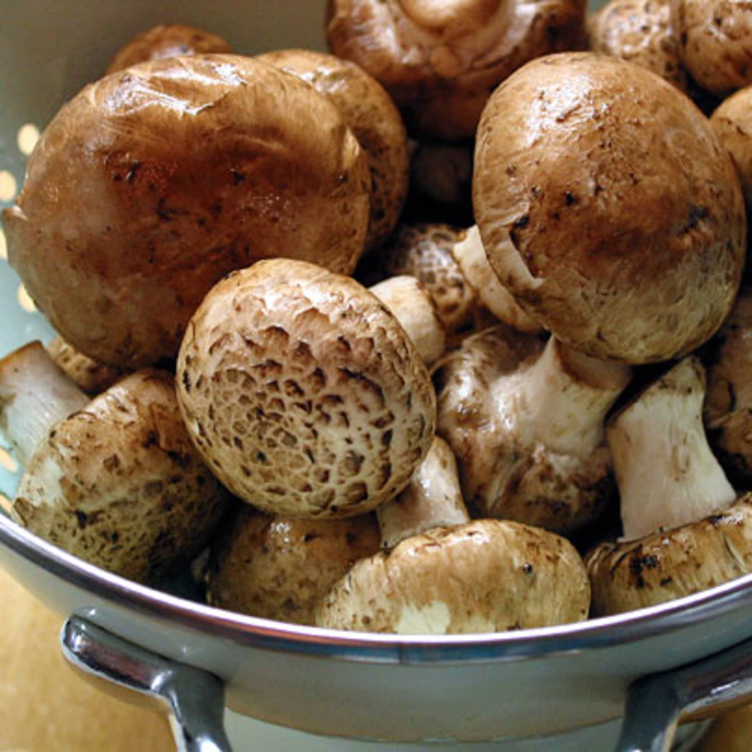 What Are Cremini Mushrooms A Few Mushroom Facts Kitchn