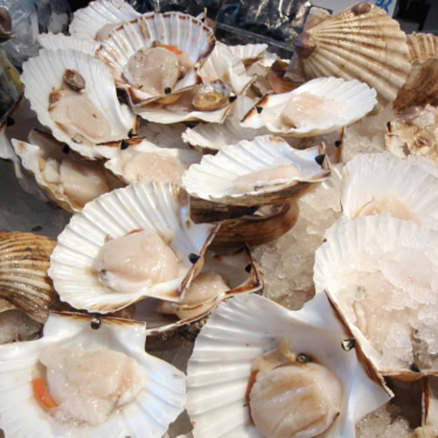 What S The Difference Wet Dry And Diver Scallops Kitchn