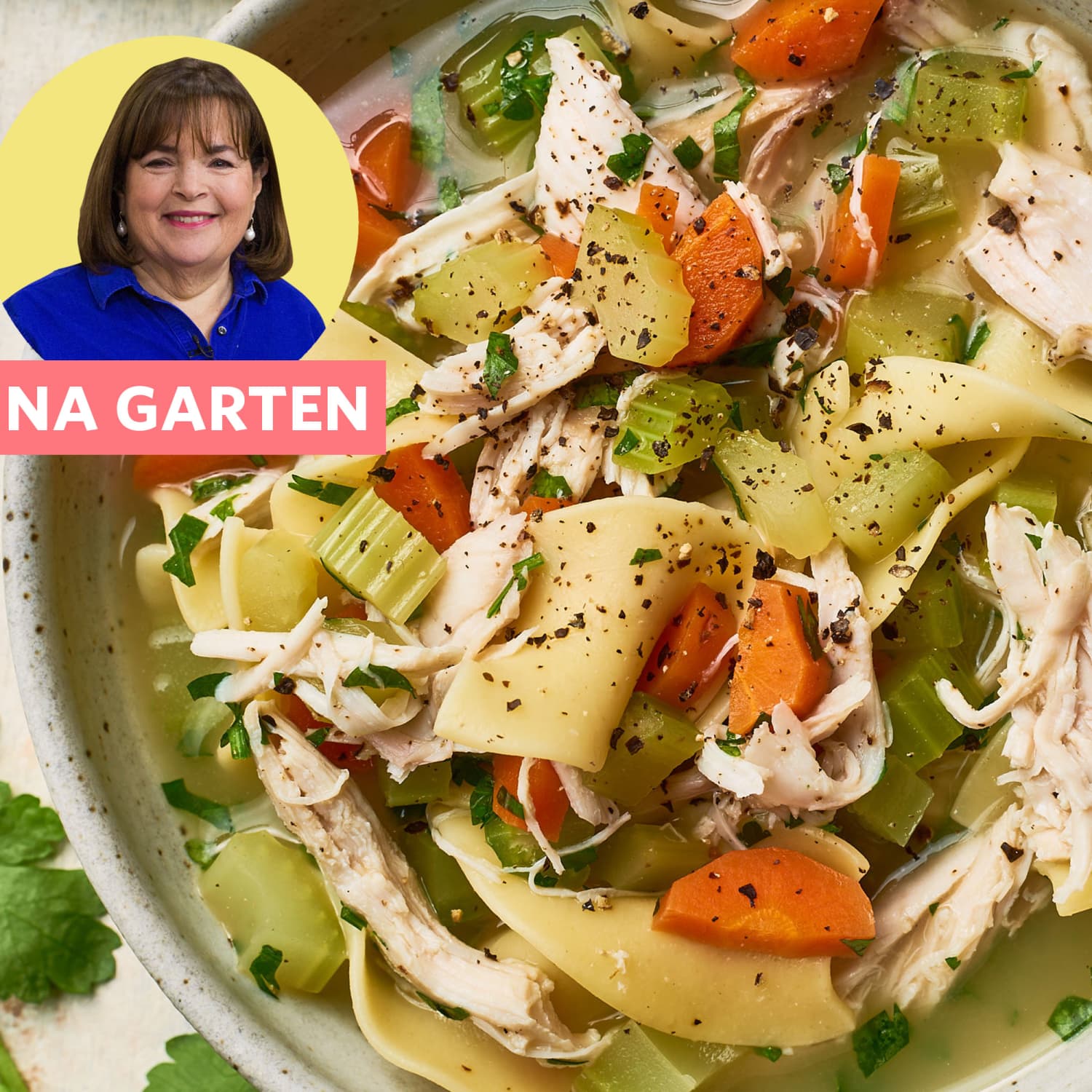 Ina Garten S Chicken Soup Recipe Review Kitchn