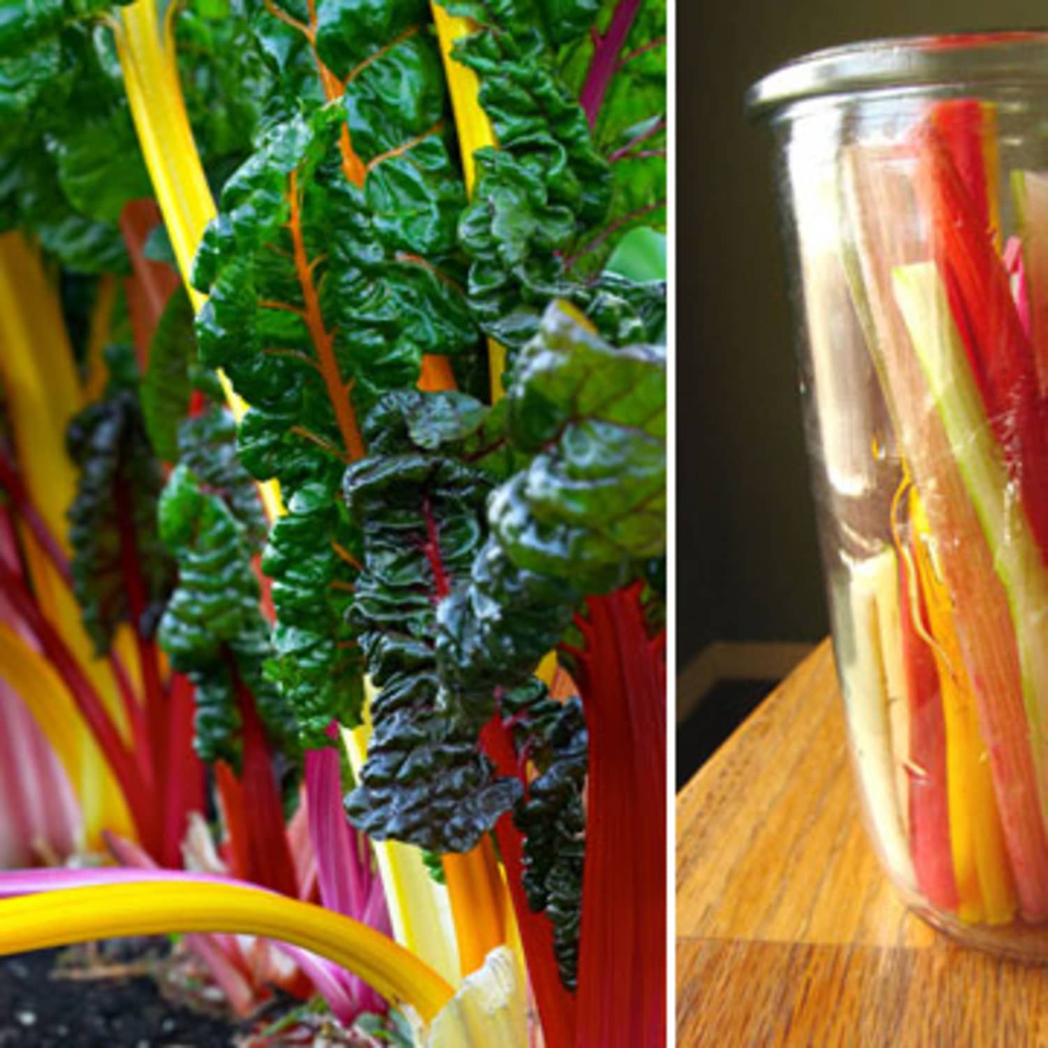 5 Ways To Eat Chard Stems Kitchn