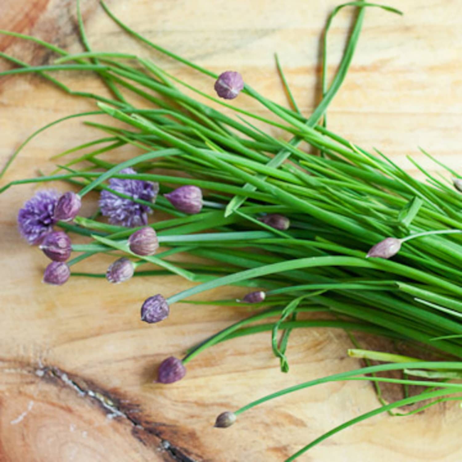 Seasonal Ingredient Spotlight Chive Blossoms Kitchn