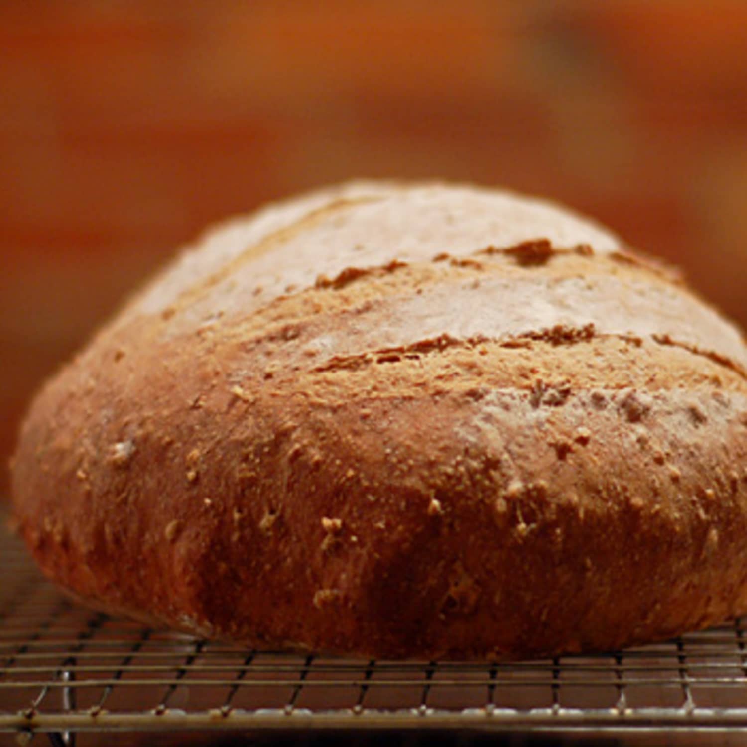 Recipe No Knead Multigrain Bread Kitchn