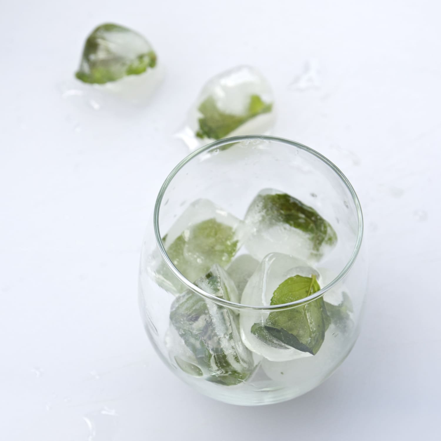 Gardening 101 How To Preserve Fresh Mint For Later Kitchn