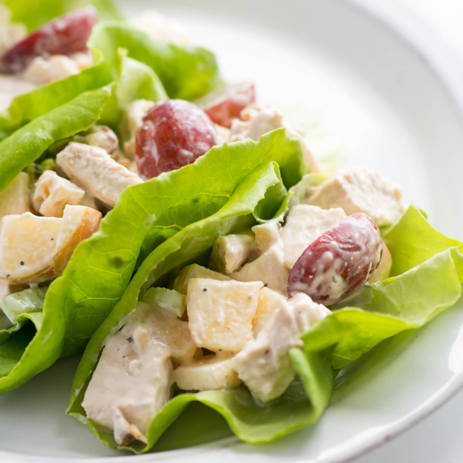 Recipe Chicken Waldorf Salad Kitchn